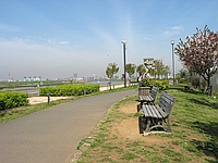 �m�[�}�����C�h�[