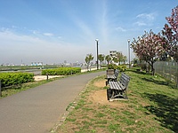 WCON-08(0.8x)�@28mm����