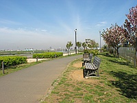 �n�N�o0.7x�@24.5mm����