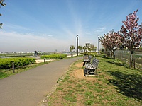 ���C�m�b�N�X0.66x�@23mm����