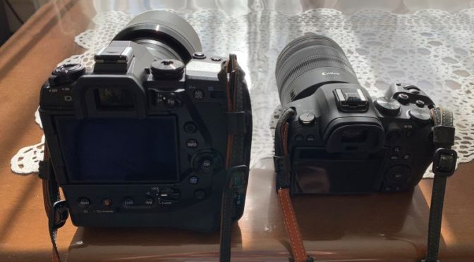 RF100-500mm F4.5-7.1 L IS USMとM.ZUIKO DIGITAL ED 40-150mm F2.8 PROの画像